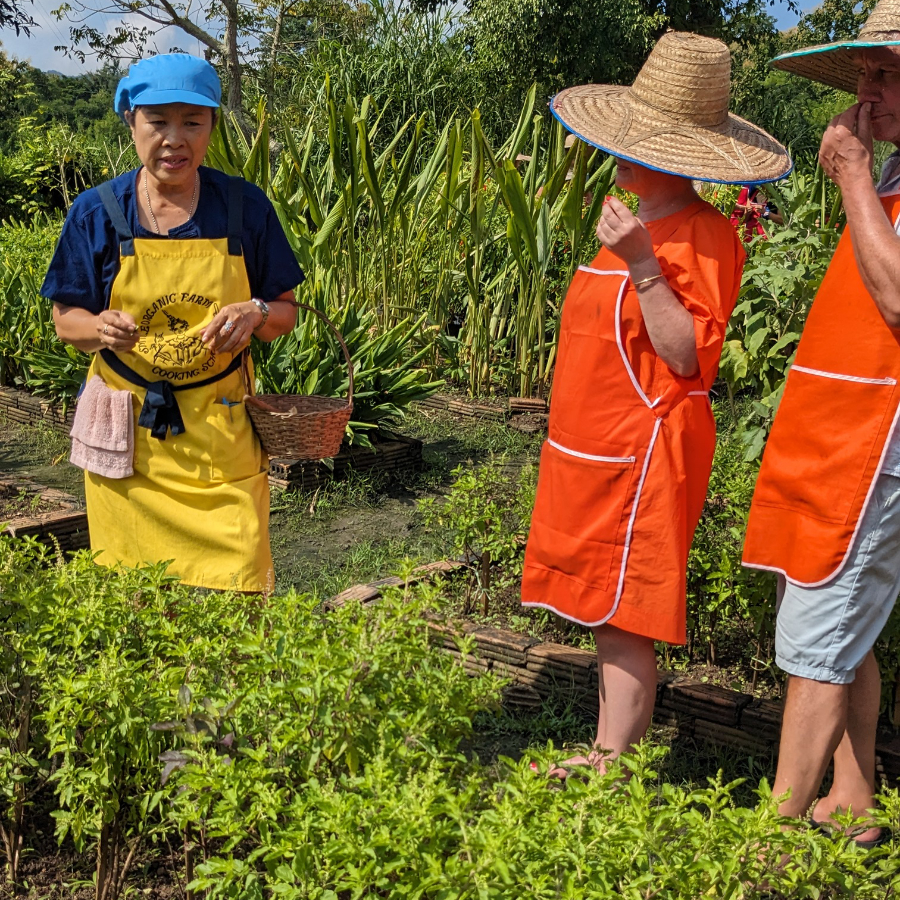 タイ料理の料理教室に参加した際、開始前に自家農園の見学体験がありました。